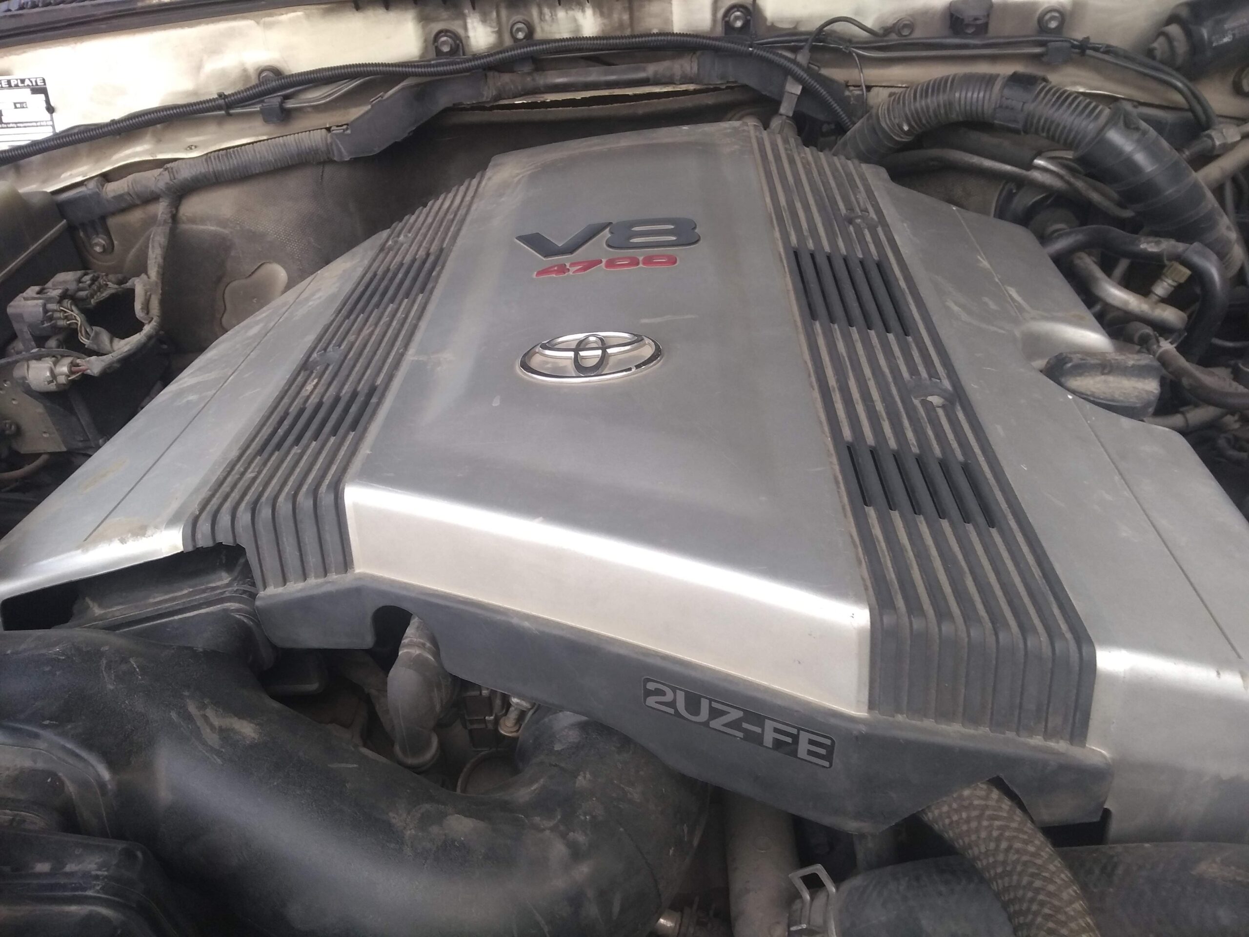 IMG_20181228_150945787